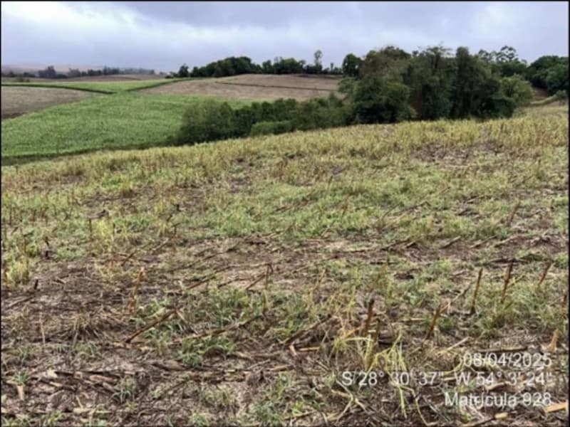 Foto 60 de 63: Terreno em leilão em Maçambará - RS — Fração de terra - Maçambara - RS