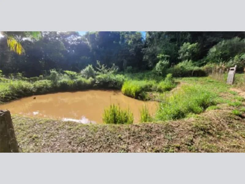 Foto 6 de 6: Terreno em leilão em Eugênio De Castro - RS — Fração de terra - Eugênio de Castro - RS