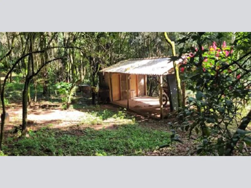 Foto 3 de 6: Terreno em leilão em Eugênio De Castro - RS — Fração de terra - Eugênio de Castro - RS