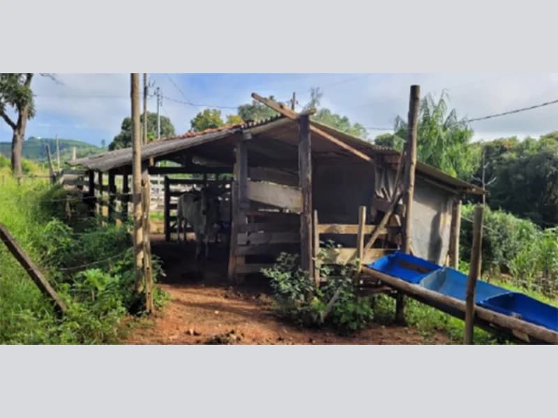 Foto 1 de 6: Terreno em leilão em Eugênio De Castro - RS — Fração de terra - Eugênio de Castro - RS
