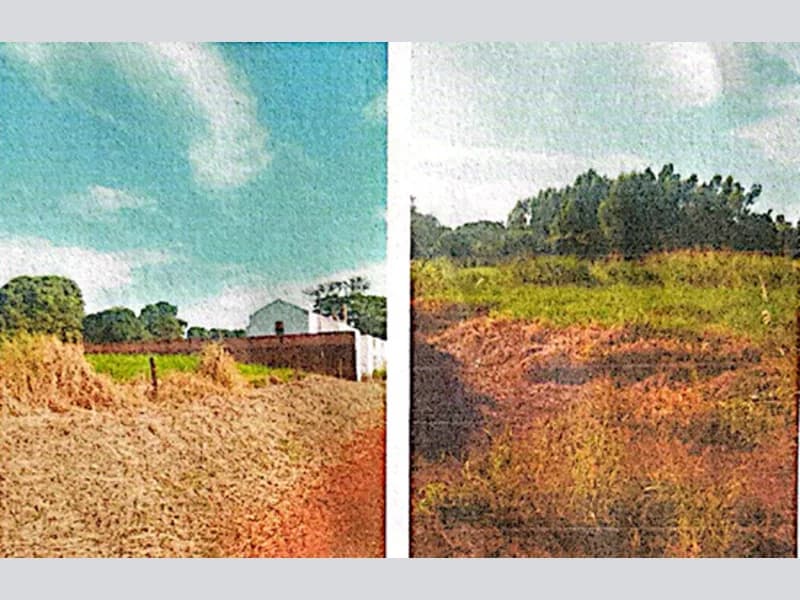 Foto 1 de 4: Terreno em leilão em Passos - MG, bairro Jardim dos Lagos — Terreno - Passos - MG