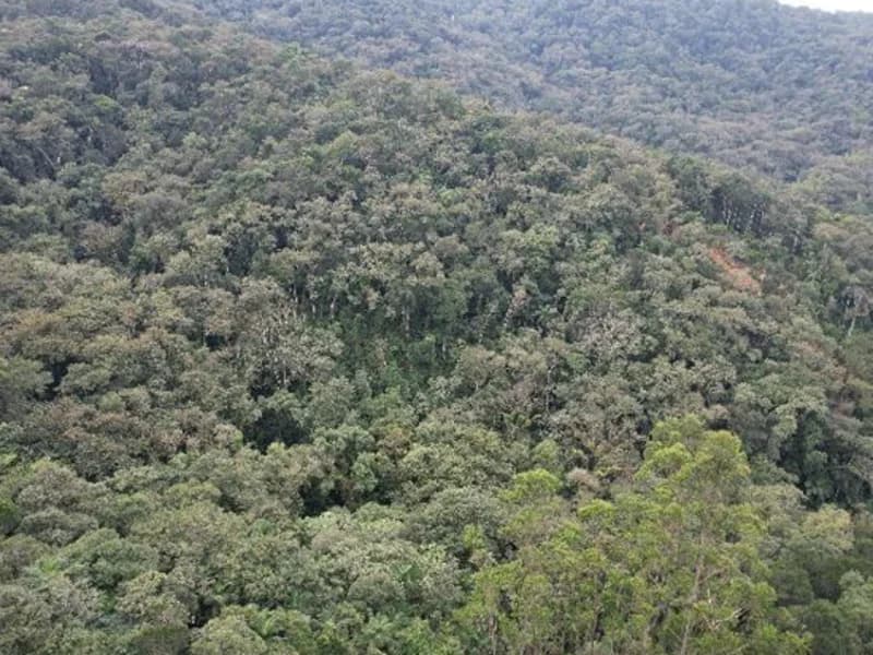 Foto 5 de 8: Terreno em leilão em Brusque - SC, bairro São Pedro — Terreno - Brusque - SC