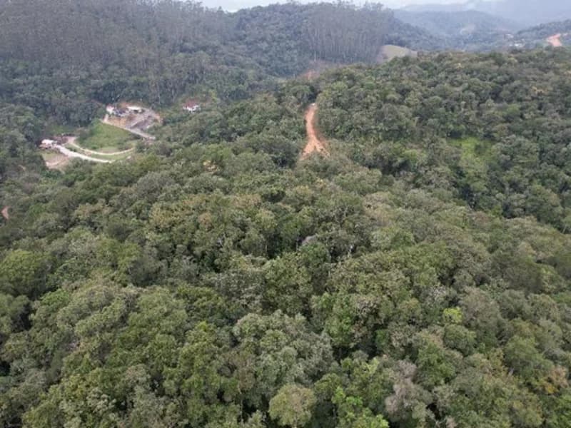 Foto 1 de 8: Terreno em leilão em Brusque - SC, bairro São Pedro — Terreno - Brusque - SC