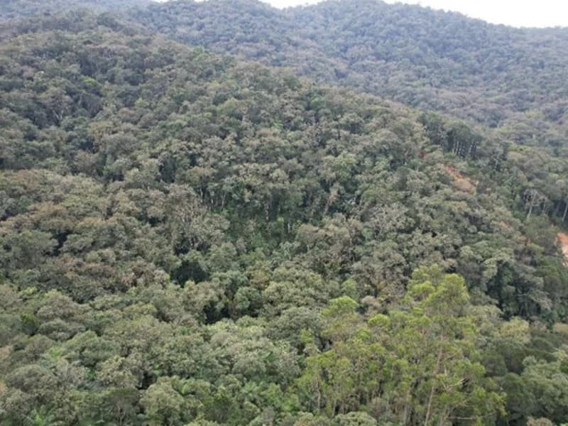 Foto 6 de 6: Terreno em leilão em Brusque - SC, bairro São Pedro — Terreno Brusque SC