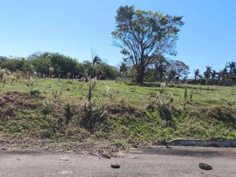 Foto 6 de 23: Terreno em leilão em Pérola - PR — Loteamento - Pérola - PR