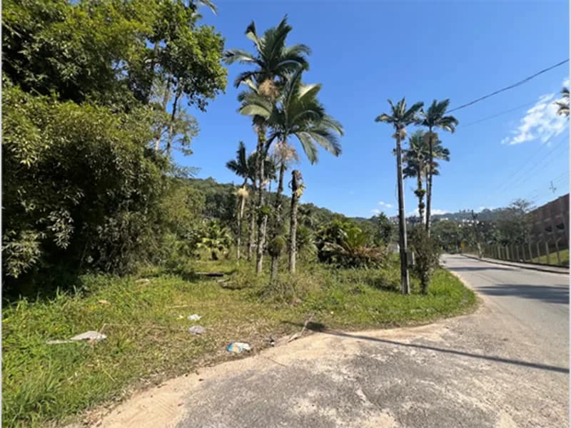 Foto 2 de 4: Terreno em leilão em Brusque - SC — Terreno - Brusque - SC