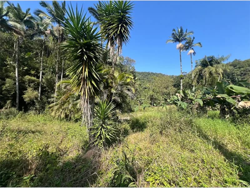 Foto 3 de 4: Terreno em leilão em Brusque - SC — Terreno - Brusque - SC