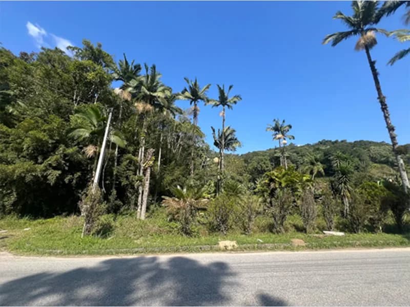 Foto 1 de 4: Terreno em leilão em Brusque - SC — Terreno - Brusque - SC