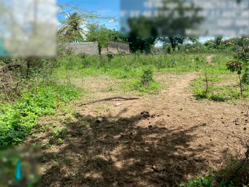 Foto 4 de 6: Terreno em leilão em Major Isidoro - AL, bairro Povoado São Marcos — Terreno - Major Isidoro - AL