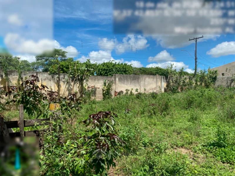 Foto 6 de 6: Terreno em leilão em Major Isidoro - AL, bairro Povoado São Marcos — Terreno - Major Isidoro - AL