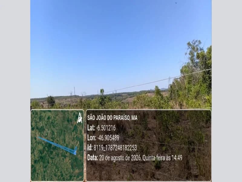 Foto 3 de 31: Area Rural em leilão em São João Do Paraíso - MA — Terreno - São João do Paraíso - MA