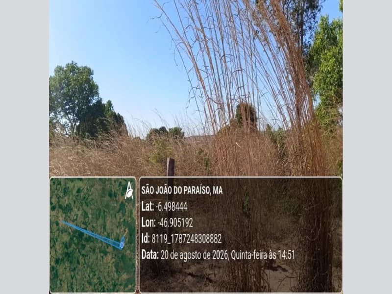 Foto 2 de 31: Area Rural em leilão em São João Do Paraíso - MA — Terreno - São João do Paraíso - MA
