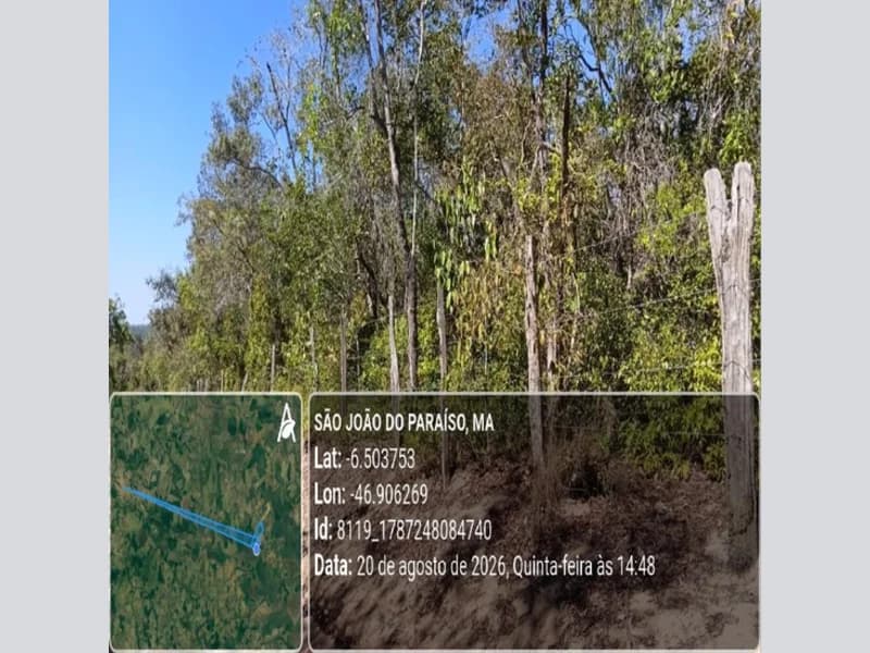 Foto 1 de 31: Area Rural em leilão em São João Do Paraíso - MA — Terreno - São João do Paraíso - MA