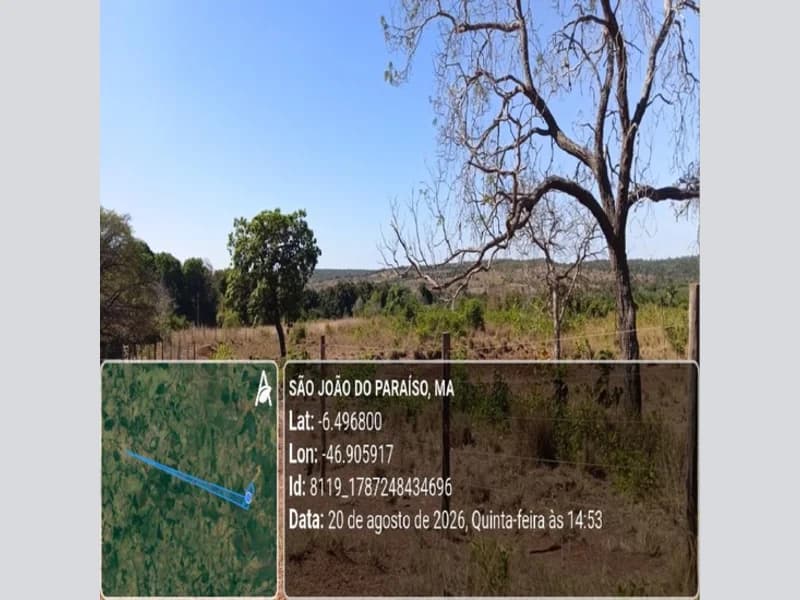 Foto 4 de 31: Area Rural em leilão em São João Do Paraíso - MA — Terreno - São João do Paraíso - MA