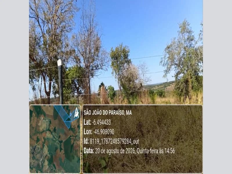 Foto 6 de 31: Area Rural em leilão em São João Do Paraíso - MA — Terreno - São João do Paraíso - MA