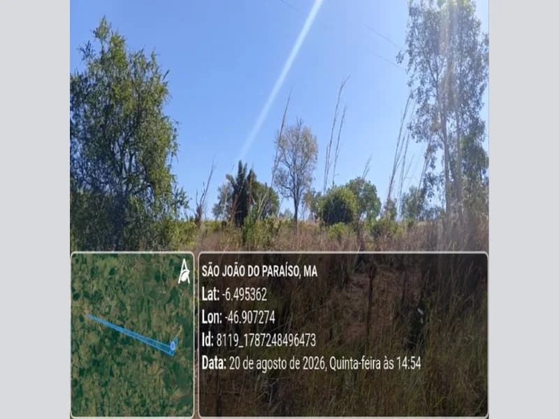 Foto 5 de 31: Area Rural em leilão em São João Do Paraíso - MA — Terreno - São João do Paraíso - MA