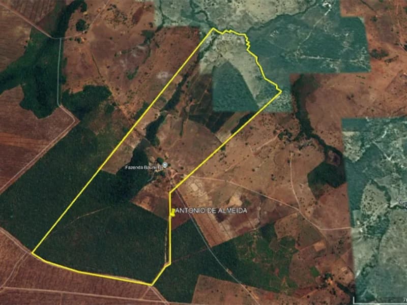 Foto 8 de 31: Area Rural em leilão em São João Do Paraíso - MA — Terreno - São João do Paraíso - MA