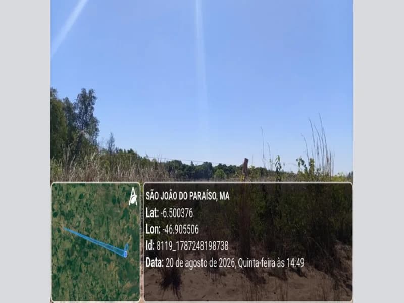 Foto 12 de 31: Area Rural em leilão em São João Do Paraíso - MA — Terreno - São João do Paraíso - MA