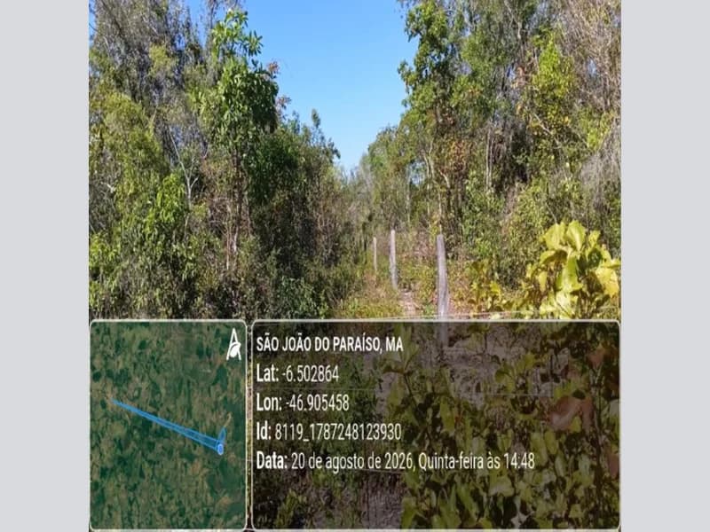 Foto 11 de 31: Area Rural em leilão em São João Do Paraíso - MA — Terreno - São João do Paraíso - MA