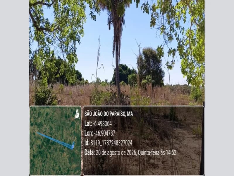 Foto 15 de 31: Area Rural em leilão em São João Do Paraíso - MA — Terreno - São João do Paraíso - MA