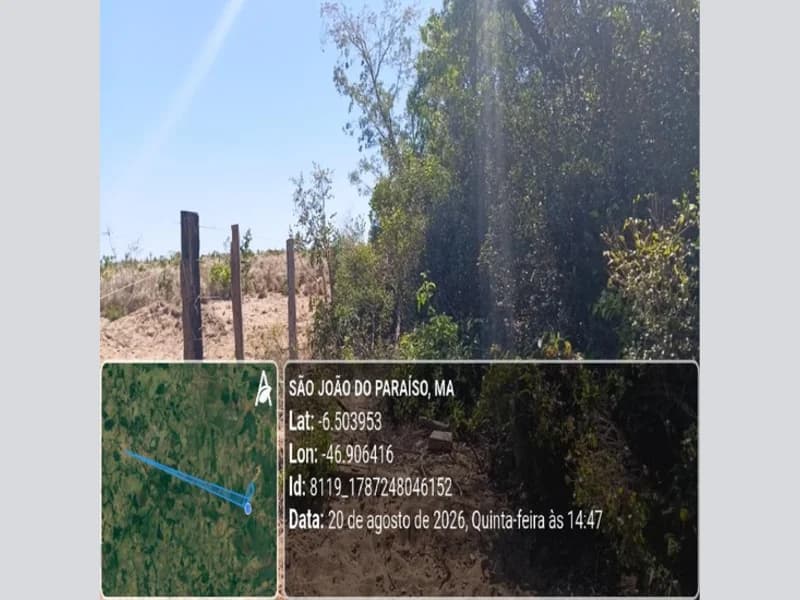 Foto 13 de 31: Area Rural em leilão em São João Do Paraíso - MA — Terreno - São João do Paraíso - MA