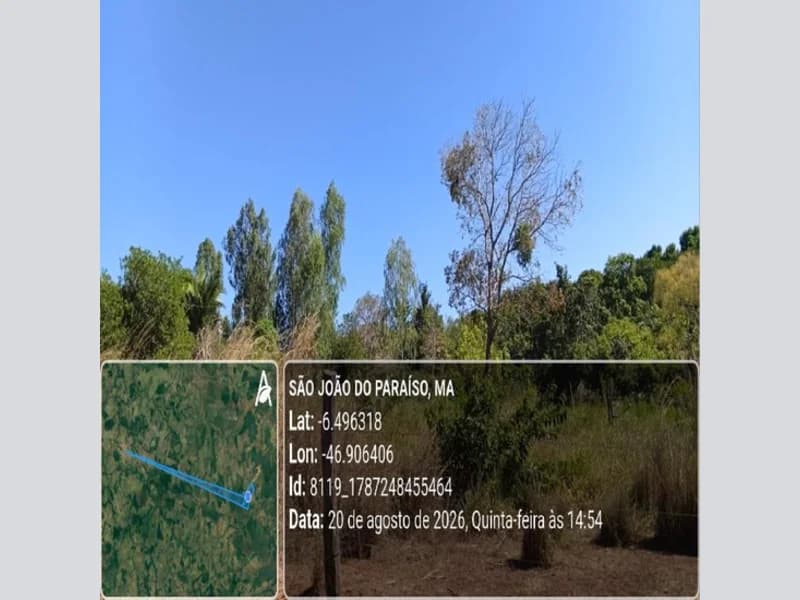 Foto 17 de 31: Area Rural em leilão em São João Do Paraíso - MA — Terreno - São João do Paraíso - MA