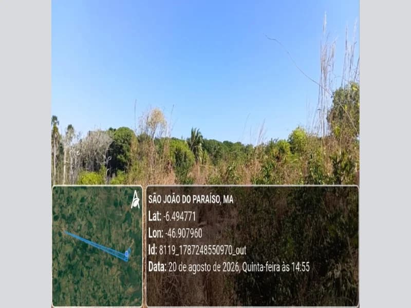 Foto 19 de 31: Area Rural em leilão em São João Do Paraíso - MA — Terreno - São João do Paraíso - MA