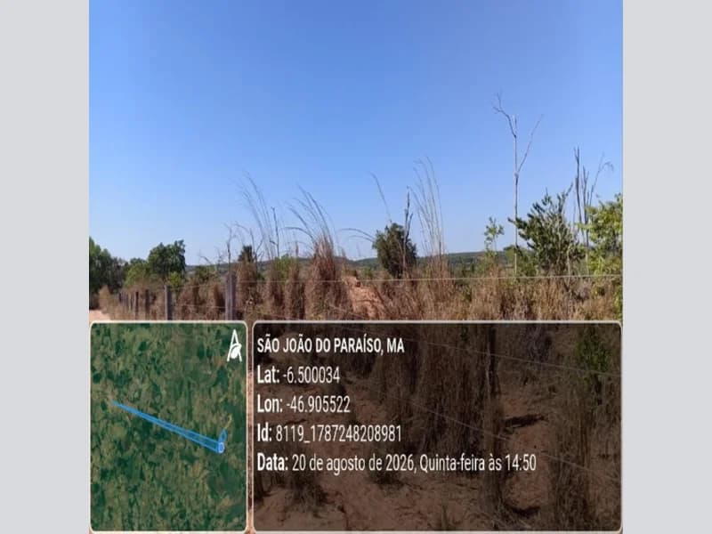 Foto 18 de 31: Area Rural em leilão em São João Do Paraíso - MA — Terreno - São João do Paraíso - MA