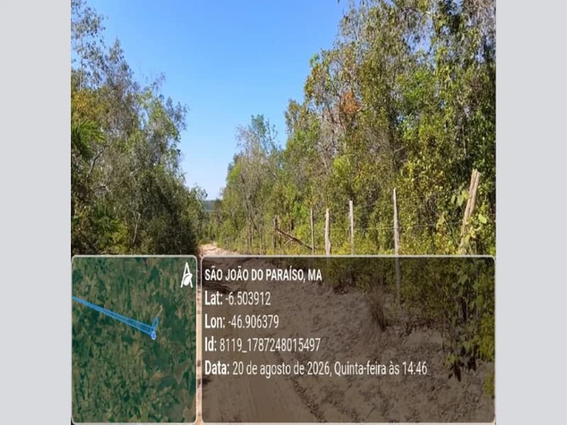 Foto 23 de 31: Area Rural em leilão em São João Do Paraíso - MA — Terreno - São João do Paraíso - MA