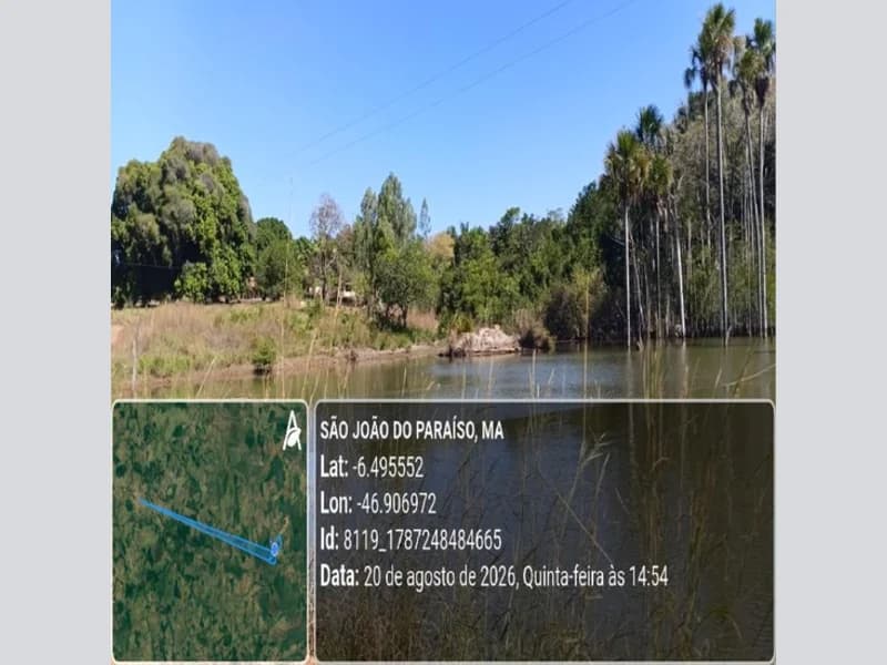 Foto 20 de 31: Area Rural em leilão em São João Do Paraíso - MA — Terreno - São João do Paraíso - MA