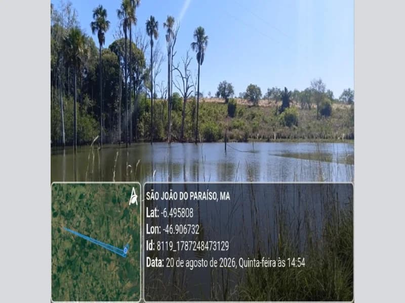 Foto 22 de 31: Area Rural em leilão em São João Do Paraíso - MA — Terreno - São João do Paraíso - MA