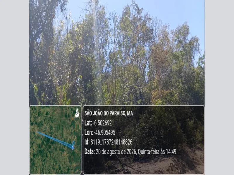 Foto 21 de 31: Area Rural em leilão em São João Do Paraíso - MA — Terreno - São João do Paraíso - MA