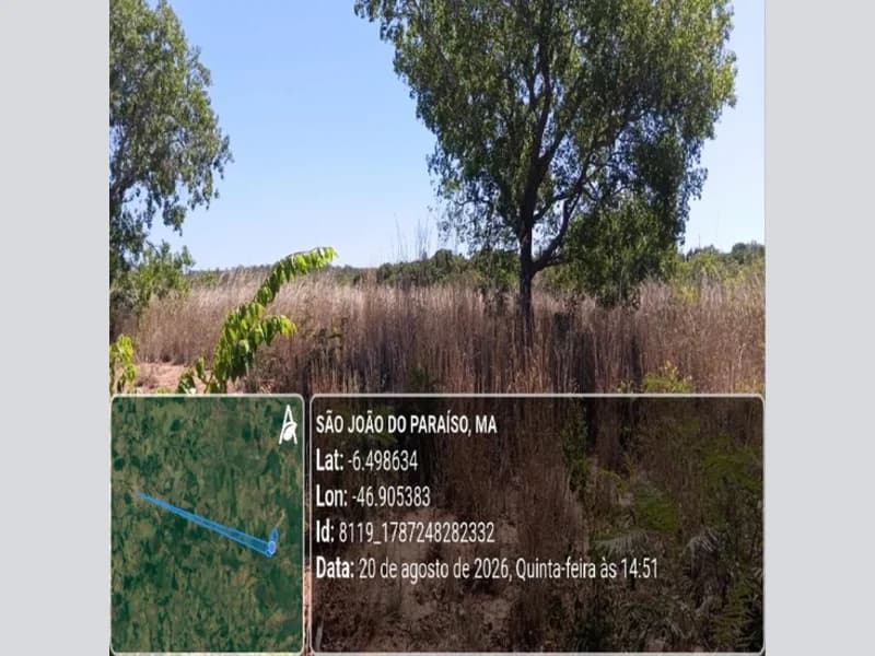 Foto 26 de 31: Area Rural em leilão em São João Do Paraíso - MA — Terreno - São João do Paraíso - MA