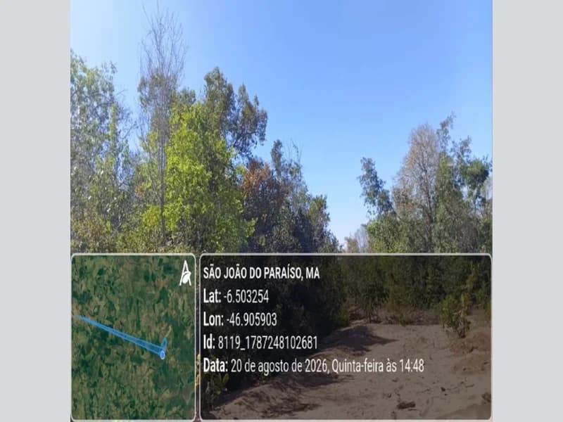 Foto 25 de 31: Area Rural em leilão em São João Do Paraíso - MA — Terreno - São João do Paraíso - MA