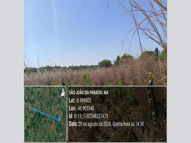 Foto 24 de 31: Area Rural em leilão em São João Do Paraíso - MA — Terreno - São João do Paraíso - MA