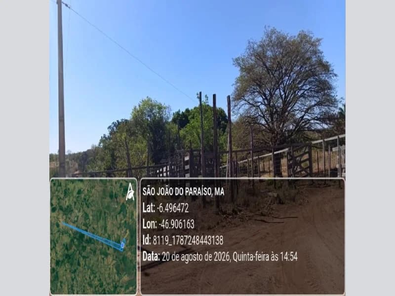 Foto 27 de 31: Area Rural em leilão em São João Do Paraíso - MA — Terreno - São João do Paraíso - MA