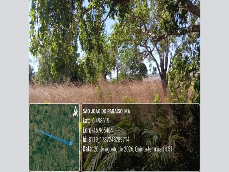 Foto 28 de 31: Area Rural em leilão em São João Do Paraíso - MA — Terreno - São João do Paraíso - MA