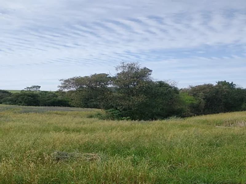 Foto 3 de 5: Terreno em leilão em Santo Ângelo - RS — Terreno - Santo Ângelo - RS