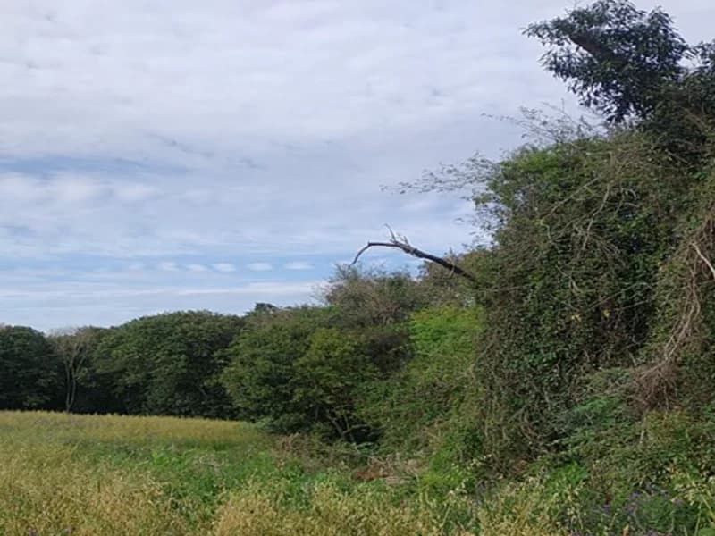 Foto 2 de 5: Terreno em leilão em Santo Ângelo - RS — Terreno - Santo Ângelo - RS