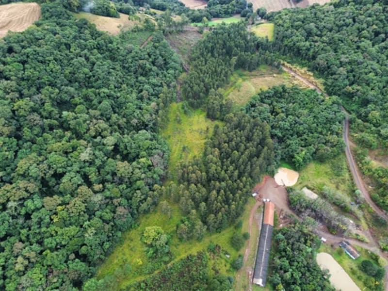 Foto 1 de 26: Terreno em leilão em Jaborá - SC — Terreno - Jaborá - SC
