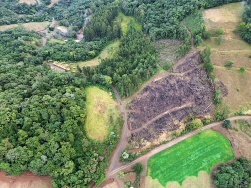 Foto 3 de 26: Terreno em leilão em Jaborá - SC — Terreno - Jaborá - SC