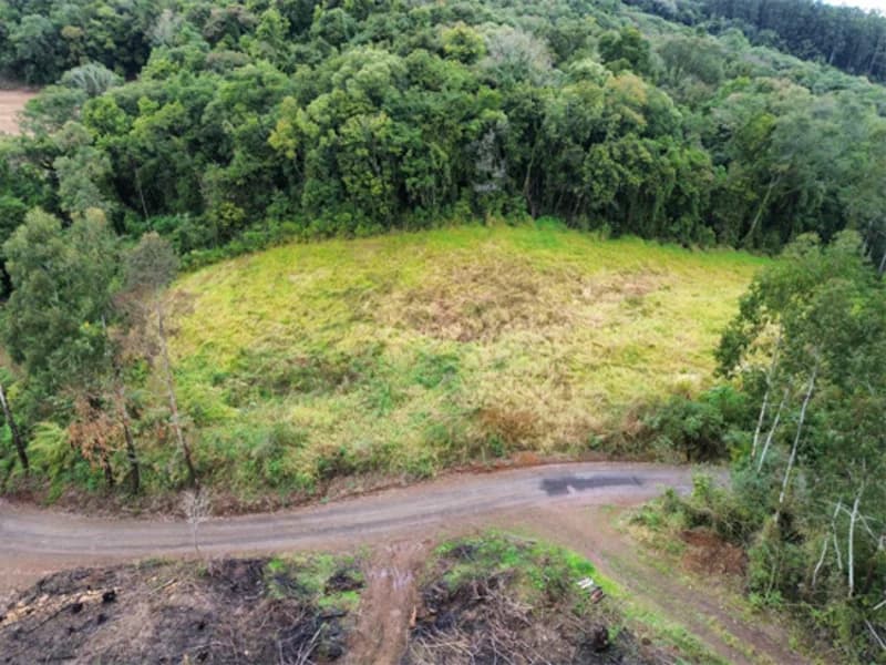 Foto 6 de 26: Terreno em leilão em Jaborá - SC — Terreno - Jaborá - SC