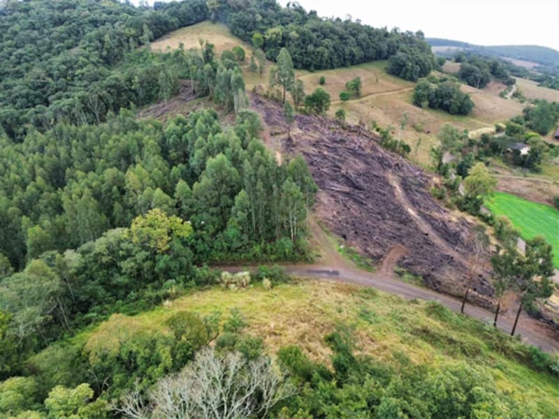 Foto 4 de 26: Terreno em leilão em Jaborá - SC — Terreno - Jaborá - SC