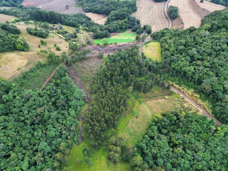 Foto 9 de 26: Terreno em leilão em Jaborá - SC — Terreno - Jaborá - SC