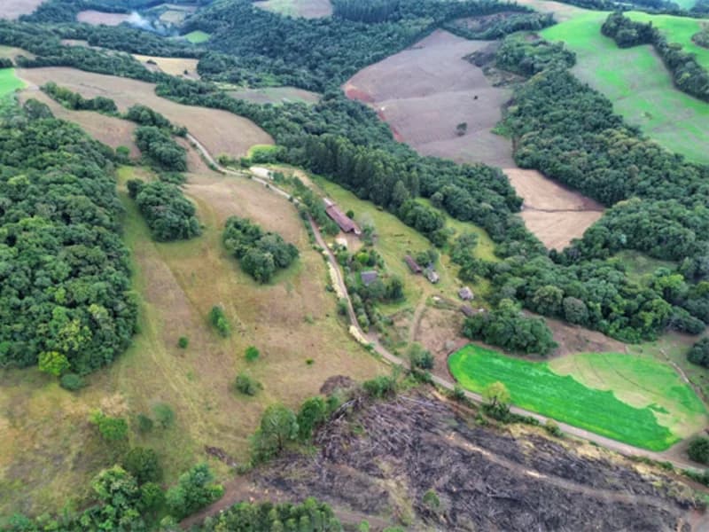 Foto 7 de 26: Terreno em leilão em Jaborá - SC — Terreno - Jaborá - SC