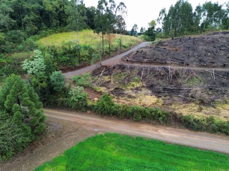 Foto 8 de 26: Terreno em leilão em Jaborá - SC — Terreno - Jaborá - SC