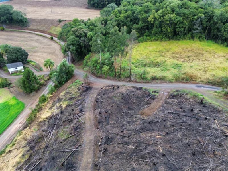 Foto 12 de 26: Terreno em leilão em Jaborá - SC — Terreno - Jaborá - SC