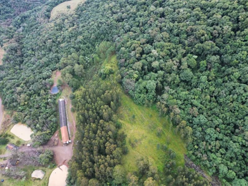 Foto 14 de 26: Terreno em leilão em Jaborá - SC — Terreno - Jaborá - SC