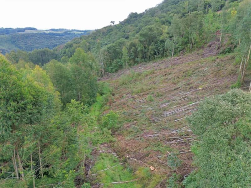 Foto 16 de 26: Terreno em leilão em Jaborá - SC — Terreno - Jaborá - SC