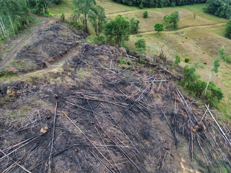 Foto 17 de 26: Terreno em leilão em Jaborá - SC — Terreno - Jaborá - SC